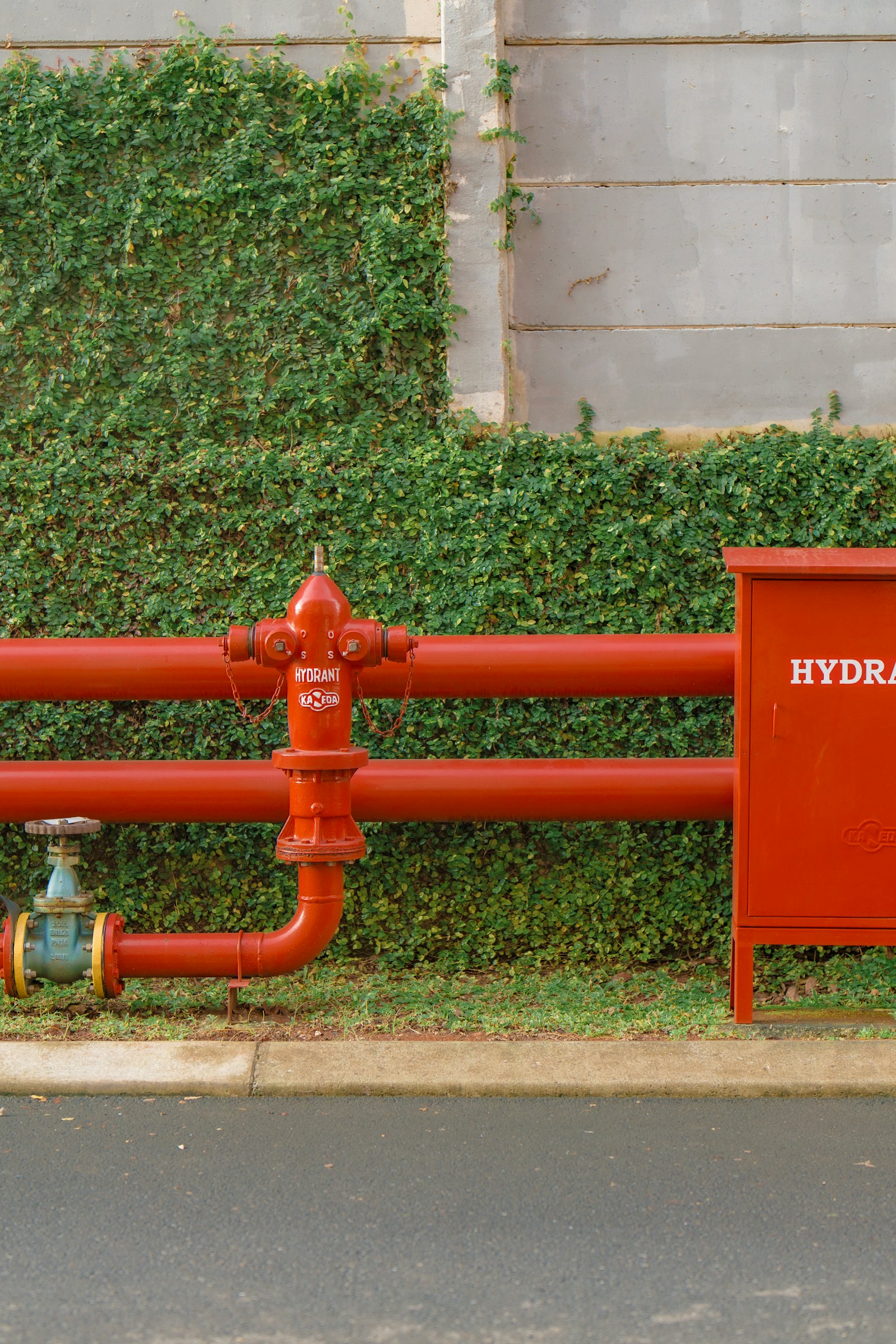 Dave Steltz's Plumbing Services Llc — plumber in Washington, DC
